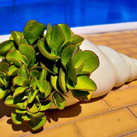 Flh Vilamoura Summer Apartment With Pool 外观 照片