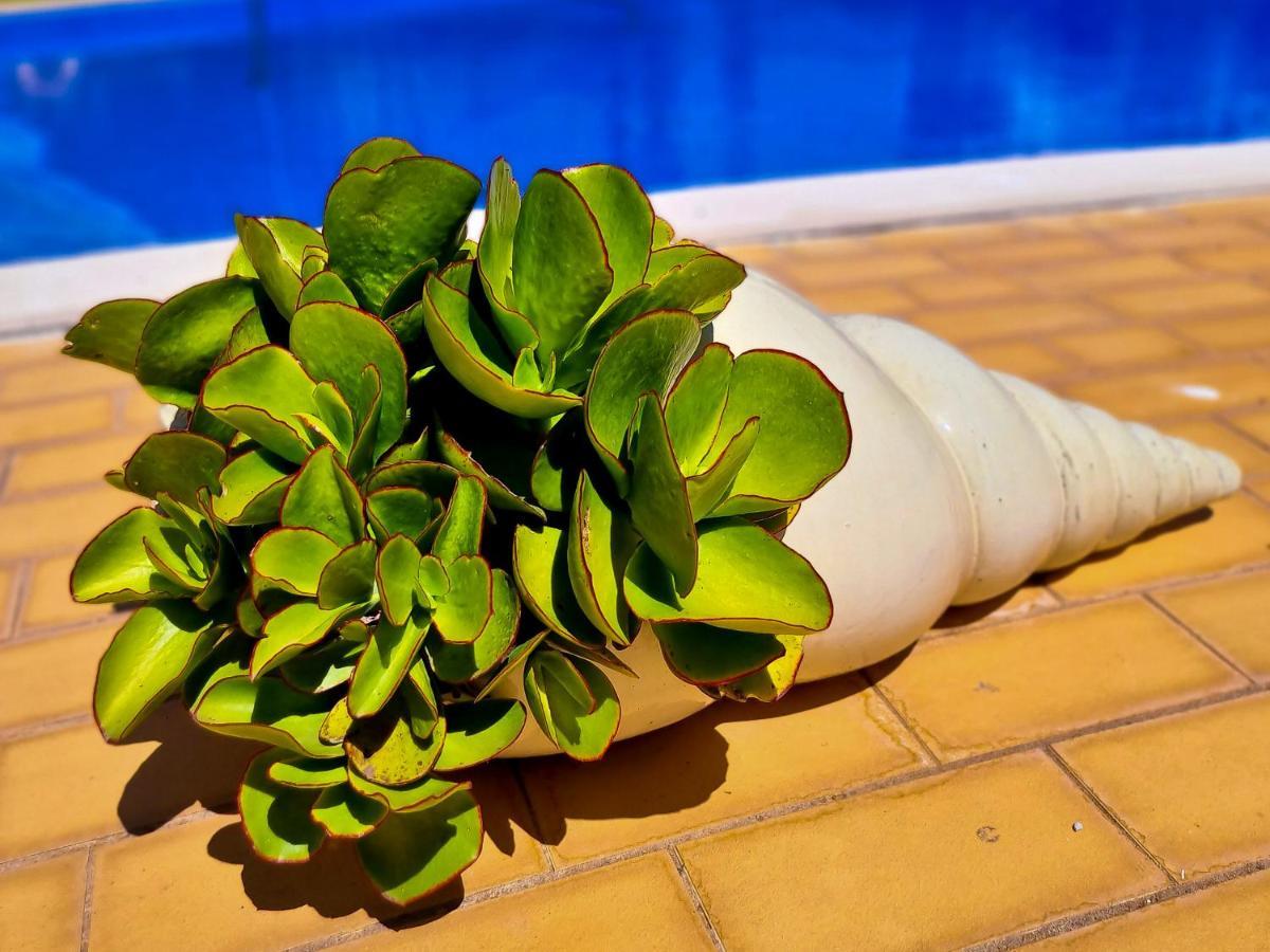 Flh Vilamoura Summer Apartment With Pool 外观 照片